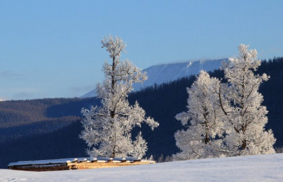 Хүйтний ес өнөөдрөөс эхэлнэ