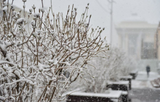 ЦАГ АГААР: Улаанбаатарт 31 хэм хүрч хүйтэрнэ