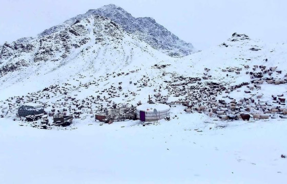 Говь-Алтай аймгийн Бугат суманд 3.8 магнитудын хүчтэй газар хөдөлжээ