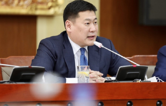 Л.ОЮУН-ЭРДЭНЭ: Засгийн газрыг огцруулах жагсаалын ард П.Цагаан түүний хүү байгаа