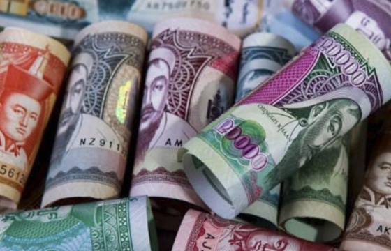 1072 хувьцааны ногдол ашгийг энэ сард олгоно