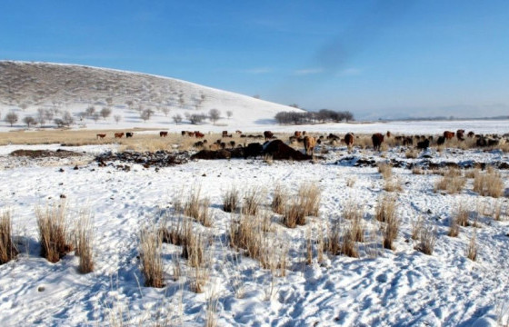 Баянхонгор аймгийн Баянговь суманд 3.6 магнитудын газар хөдөлжээ