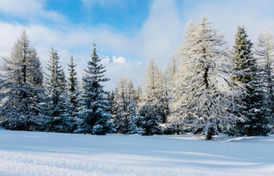 Нэгдүгээр сарын 15-18-нд ихэнх нутгаар хүйтний эрч суларна