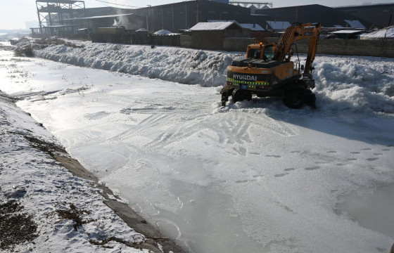 Д.АРИУНБААТАР: Өнгөрсөн зун бороо их орсон учир халиа тошин үүсдэггүй газруудад ч халиа үүсээд байна