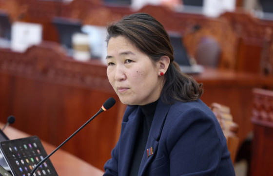 Х.БААСАНЖАРГАЛ: Хуульчдаар дүгнэлт гаргуулна, шүүхдэнэ