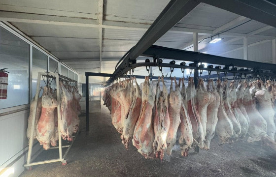 Мах, махан бүтээгдэхүүний үйлдвэрлэл, хадгалалт, худалдаалалтад хяналт, шалгалт хийж байна