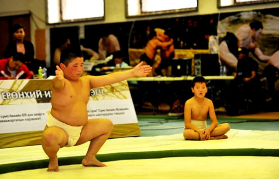 Хүүхдийн сүмо бөхийн “Хакүхо цом”-ын тэмцээн болно