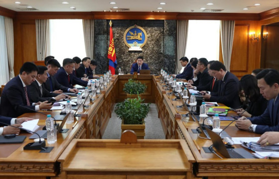 С.ЧИНЗОРИГ: D ВИРУСИЙН ЭСРЭГ “БУЛЕВИРТИД” ЭМИЙН ЭХНИЙ ХЭСЭГ ЭНЭ САРД БАГТАЖ ИРНЭ