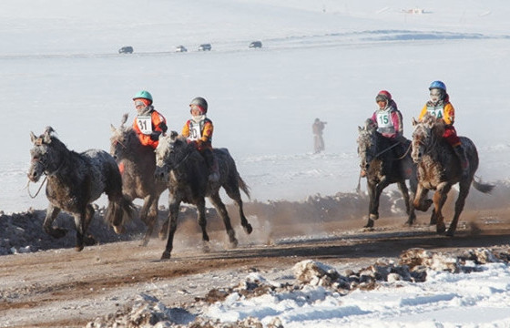 ММСУХ: Манай холбоо 18-аас дээш насны хүн унасан морин уралдаан зохион байгуулахгүй