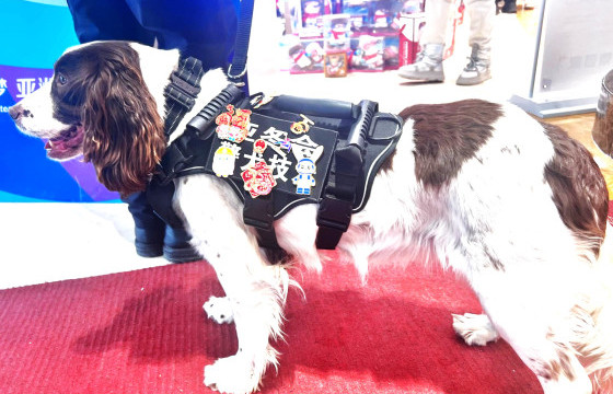 “ХАРБИН-2025” АЗИЙН НААДМЫН АЮУЛГҮЙ БАЙДЛЫН ТӨЛӨӨ БАТ ЗОГСОХ ХУА ХУА