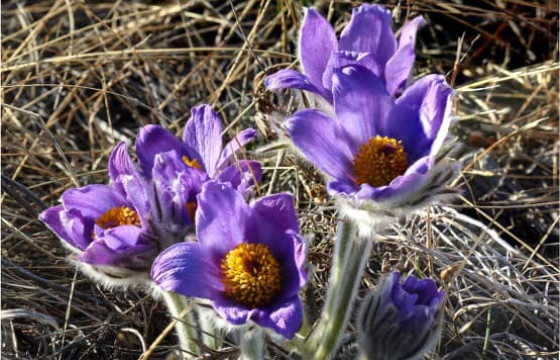 ТАНИЛЦ: Дөрөвдүгээр сарын цаг агаар