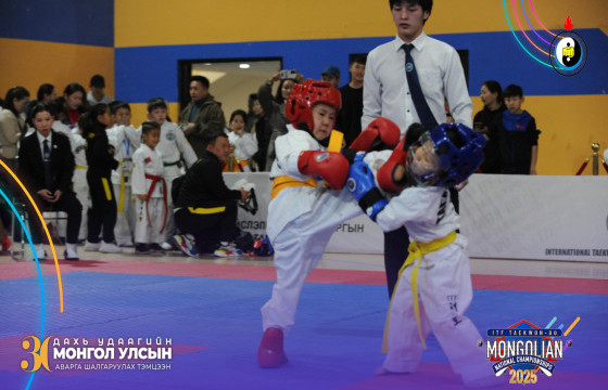 Олон улсын таэквондогийн улсын аварга тавдугаар сард болно