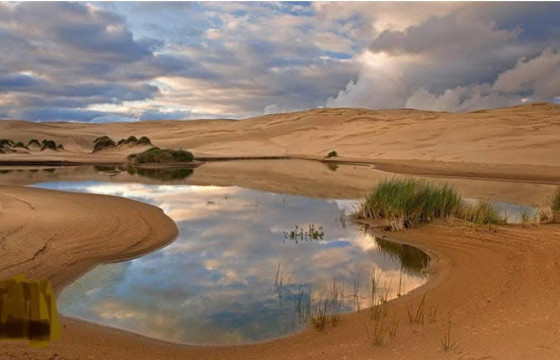 Бөхчүүд “Хөв, цөөрөм байгуулах жил” болгох санал гаргажээ