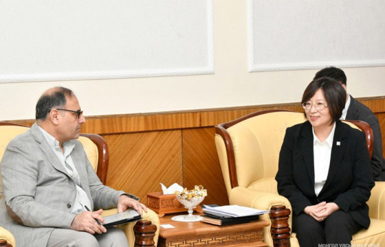 Нийгмийн бодлогын байнгын хорооны дарга Л.Энхнасан НҮБ-ын Хүн амын сангийн суурин төлөөлөгчтэй уулзав
