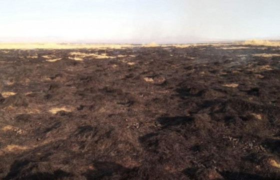 Дорнод, Архангай аймагт гарсан ой, хээрийн түймрийг бүрэн унтраалаа