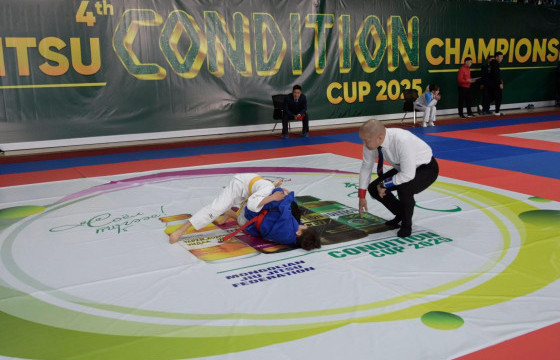 Жюү жицүгийн 