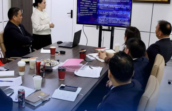 Засгийн газрын Хяналт хэрэгжүүлэх газраас эмийн чанарыг сайжруулах, үнийг бууруулах чиглэлээр ажиллаж байна