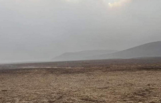 ОБЕГ: Таван аймгийн ой, хээрийн түймрийг унтраахаар ажиллаж байна