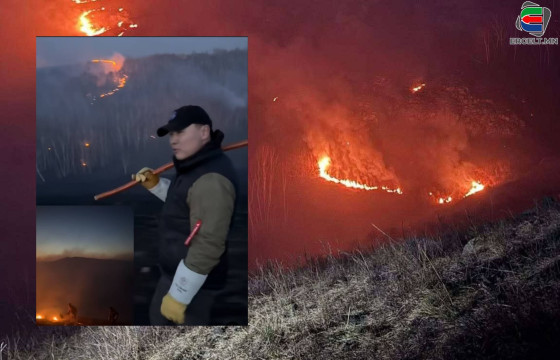 МОГОЙ АЛАХАД МОДНЫ НЭМЭРГҮЙ ГЭДЭГ ШИГ ТҮЙМЭР УНТРААХАД ТАНЫ РИЙЛ ХЭРЭГГҮЙ ШҮҮ, С.ЭРДЭНЭБОЛД ГИШҮҮН ЭЭ