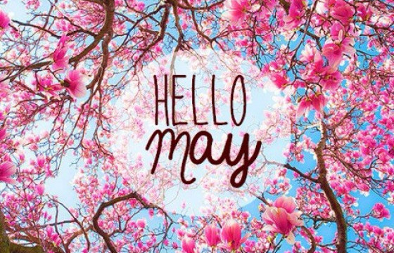 ТАВДУГААР САРД УНШИХ ТАВАН ШҮЛЭГ