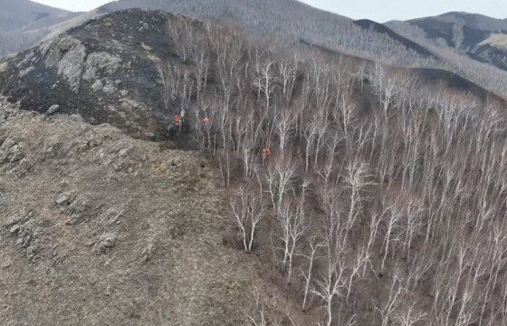 Сэлэнгэ аймгийн Зүүнбүрэн суманд гарсан ойн түймрийг бүрэн унтраалаа