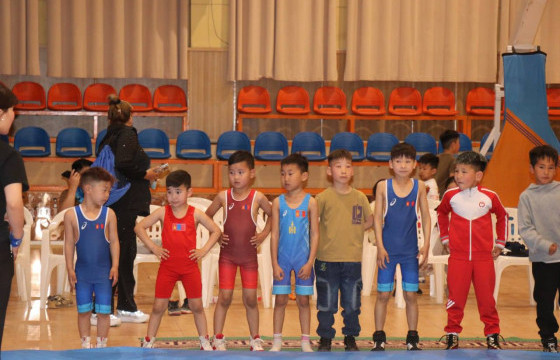 Чөлөөт бөхийн Замын-Үүдийн тэмцээн өндөрлөв