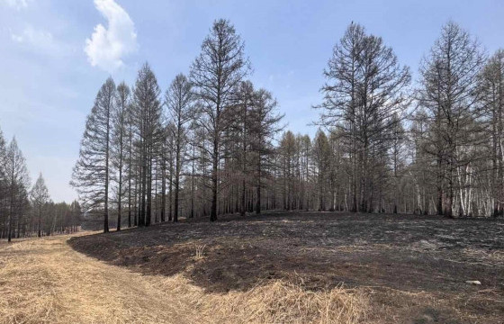 Сэлэнгэ аймгийн Түшиг суманд гарсан галыг бүрэн унтраажээ