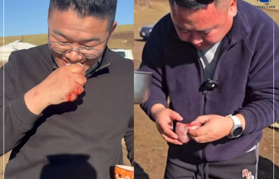 ШИМЭГЧТЭЙ МАЛЫН ЗАСААГ ТҮҮХИЙГЭЭР НЬ ИДВЭЛ ҮХЭХ АЮУЛТАЙ ЮМ БАЙНА ШҮҮ, ҮНЭН БА ЗӨВ НАМЫНХААН