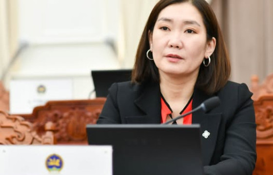 Л.МӨНХБАЯСГАЛАН: ХУУЛИЙН ТӨСЛИЙГ 19-ХӨН ГИШҮҮН ХЭЛЭЛЦЭЖ БАЙГААД САНАЛ ХУУРААХААР ҮСЭРЧ ГАРЧ ИРЭЭД КНОП ДАРНА ДАА