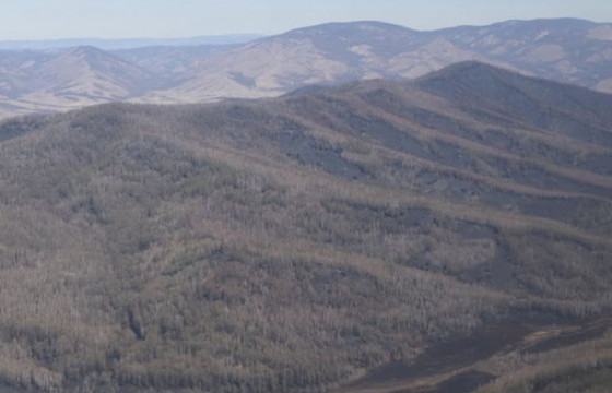Сэлэнгэ аймгийн Ерөө суманд гарсан ойн түймрийг бүрэн унтраажээ