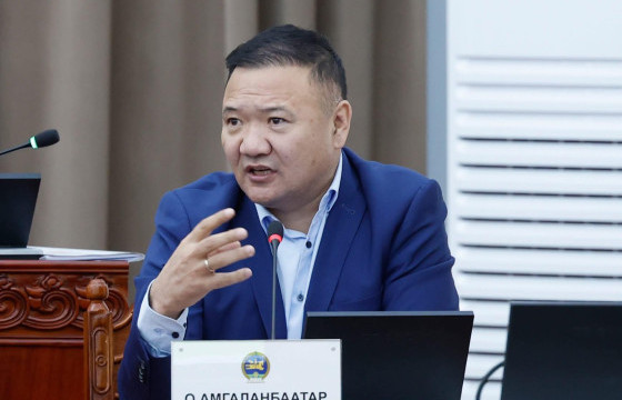 О.АМГАЛАНБААТАР: Баян айлын ааш нь хөдлөөд хүргэнээ хөөж байгаа юм шиг л зүйл болж байна