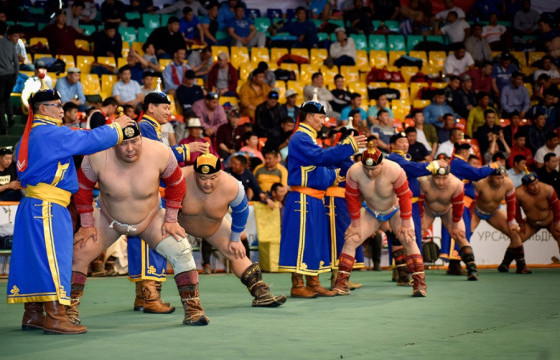 Дархан аварга цолны хүндэтгэлийн барилдаан маргааш болно