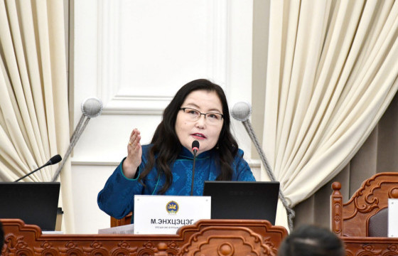 М.ЭНХЦЭЦЭГ: Хөгжлийн хөтөлбөр чинь Засгийн газрын үйл ажиллагааны хөтөлбөр дээр тулгуурладаггүй юм уу. Засгийн газрын хөтөлбөр чинь хоосон амлалт байсан уу