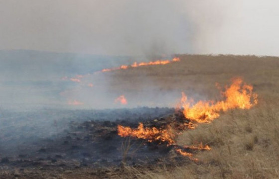Сэлэнгэ, Хэнтий аймагт гарсан түймрийг унтраахаар ажиллаж байна