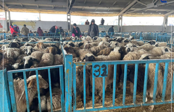 ЭМЭЭЛТ ЗАХАД ХОНЬ 270-550 МЯНГАН ТӨГРӨГИЙН ҮНЭТЭЙ БАЙНА