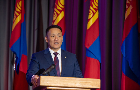 Н.НОМТОЙБАЯР: Та яагаад сонгодог парламентын тогтолцоог төгөлдөршүүлэх шаардлагатай гэж үзэв