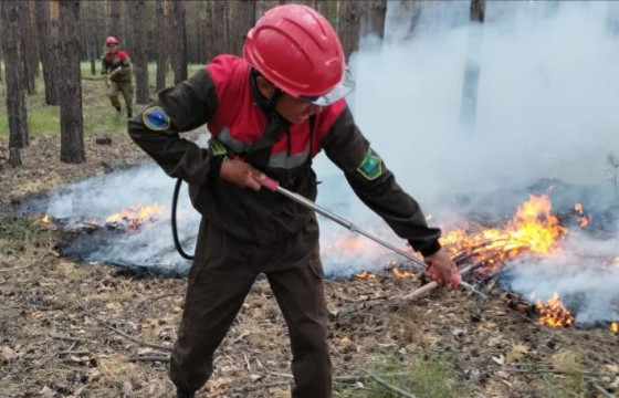КАЗАКСТАН УЛСЫН ПАВЛОДАР ХОТЫН НАРСАН ОЙД НЭГ ӨДӨРТ 14 УДААГИЙН ТҮЙМЭР ГАРЧЭЭ