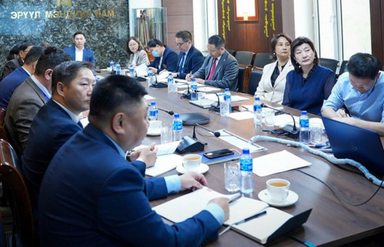 Монгол Улсад эмчлэгдэх боломжгүй өвчлөлийг бууруулахад чиглэсэн төслийг шалгаруулна