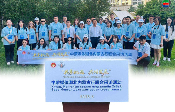 ӨМӨЗО-НЫ ТУНЛЯОГООС ЭХЭЛЖ, УЛААНХАД ХОТООР ӨРТӨӨЛСӨН АЯЛЛЫН ТЭМДЭГЛЭЛ-I