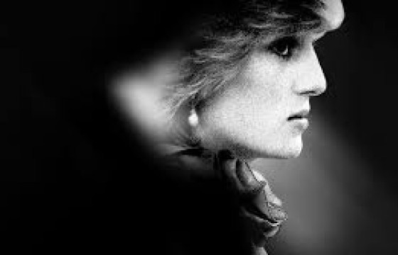 “LADY DIANA” БУЮУ ДИАНА ГҮНЖИЙН ТАЛААРХ СОНИРХОЛТОЙ БАРИМТУУД