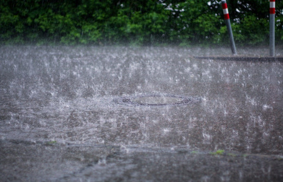 ХҮЧТЭЙ ААДАР БОРООНЫ ДАРААХ ЗӨВЛӨМЖ