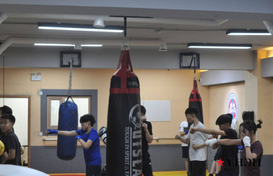 Монгол, Узбекистаны боксчид хамтарсан бэлтгэл хийж эхэллээ