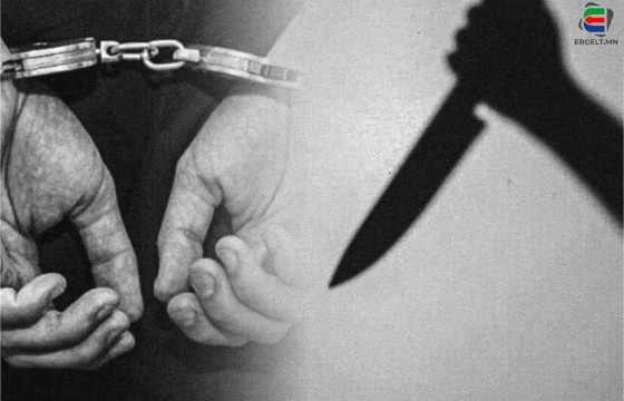 СЭТГЭЛ САНААГААР УНАСАН ГЭХ ШАЛТГААНААР УНТАЖ БАЙСАН ЭЭЖИЙГЭЭ 12 УДАА ХУТГАЛЖ, ХАРГИСААР ХӨНӨӨЖЭЭ