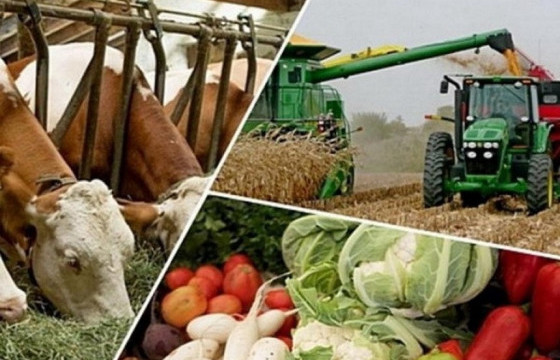 ХӨДӨӨ АЖ АХУЙН САЛБАР 35.6 ХУВИАР ӨСЧЭЭ