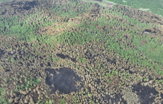 Сэлэнгэ аймагт гарсан гурван түймрийг цурамд оруулжээ