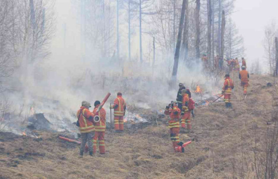 Сэлэнгэ аймгийн Баянгол сумын нутагт гарсан түймрийг бүрэн унтраалаа