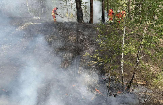 СЭЛЭНГЭ АЙМАГТ БҮРТГЭГДСЭН 14 ОЙН ТҮЙМРИЙГ УНТРААЖ БАЙНА