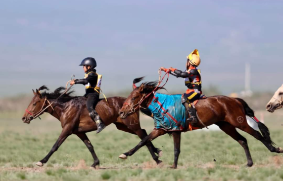 225 шүдлэн бүртгүүлснээс 131 шүдлэн гарааны төхөөрөмж рүү хөдөллөө