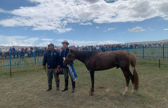 Баянхонгор аймгийн Бууцагаан сумын уяач И.Золбоогийн азарга түрүүллээ