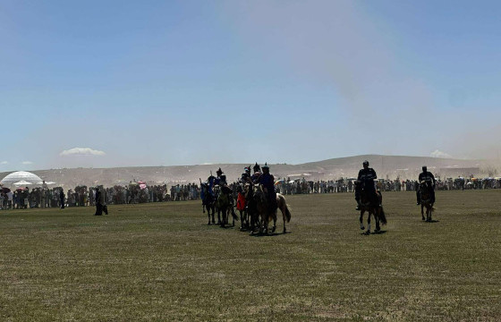 Төрийн их баяр наадамд 193 соёолон уралдаж байна